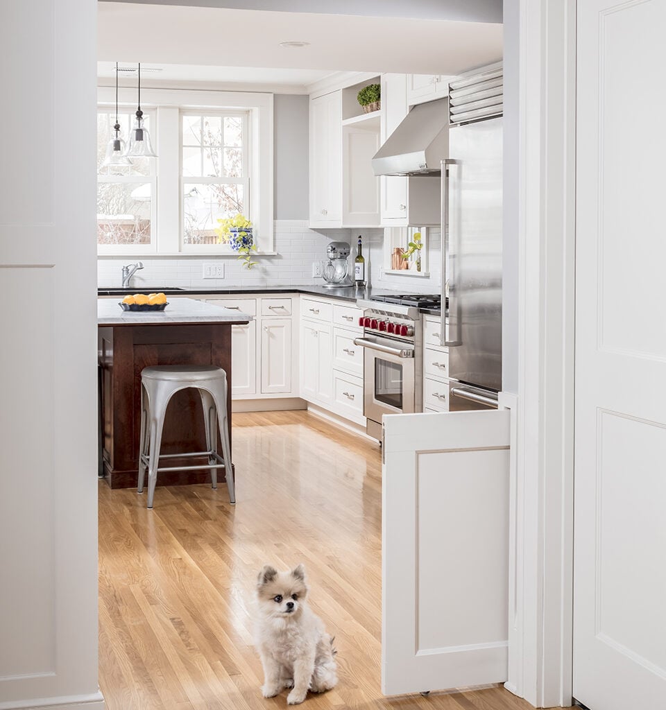 Pet-Approved Home Design Ideas 5 180223 QDB Aldrich L 015 DOG W half sliding door copy 960x1024 1