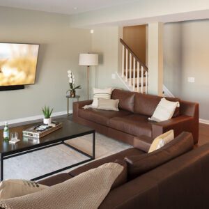 Luxury Basement Living Room
