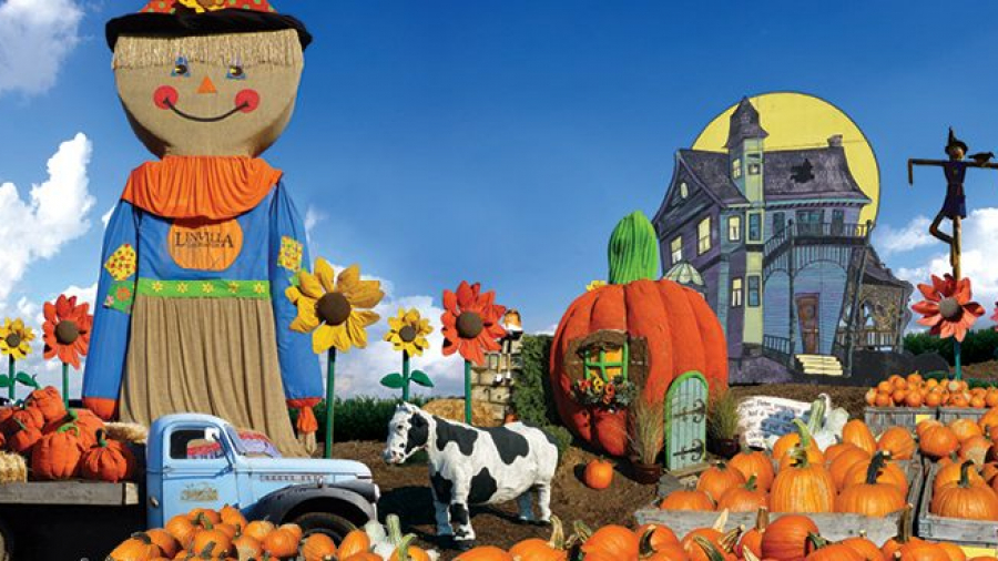 Media-Linvilla-Orchards-Pumpkinland